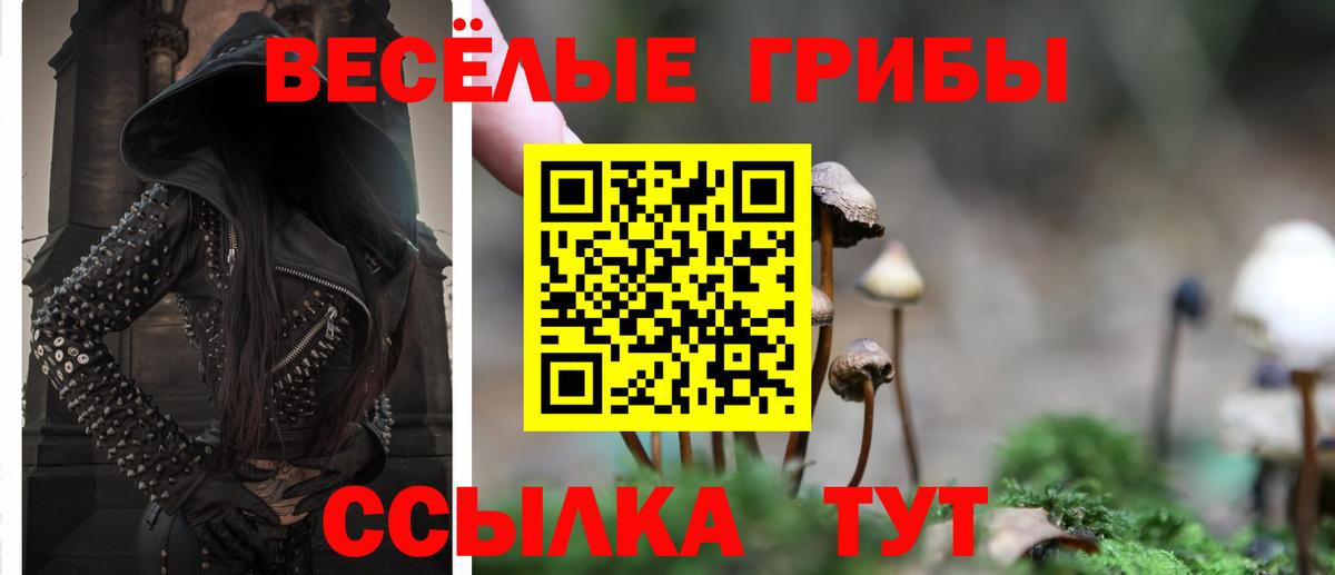как найти закладки  Псилоцибиновые грибы Cubensis  Галлюциногенные грибы прущие грибы  Вход с VPN  Туймазы 